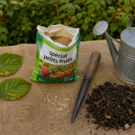 Engrais framboisier pour booster la récolte et éviter la chlorose