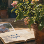 Lantana: plante toxique — fruits toxiques