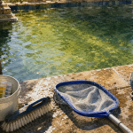 Nettoyer piscine verte : eau claire en 48 h, sans vider le bassin