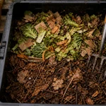 Comment faire du compost en appartement : déchets à composter et composteur